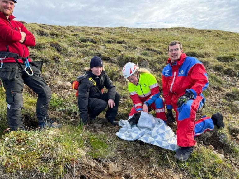 Search and Rescue Iceland Animals in Iceland