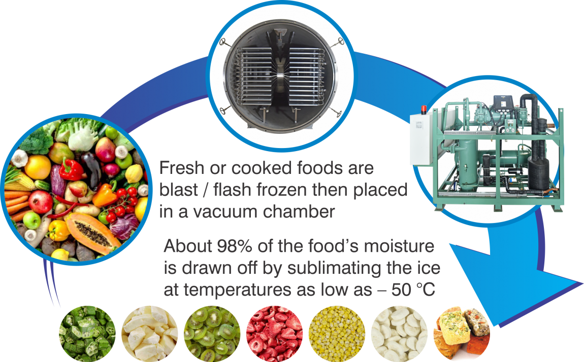 Vacuum Freeze Dryer Manufacturers and Suppliers Ahmedabad India