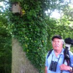 Fairhaven Volunteer Wildlife Survey Reveals Gardens Secrets