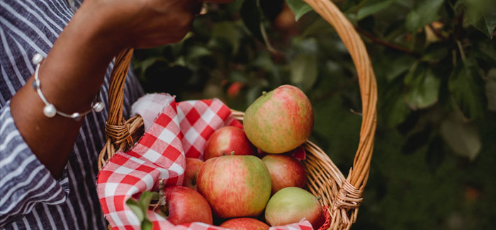 6 of the Cutest Date Ideas to Try this Autumn