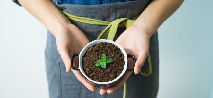 Living A Greener Lifestyle