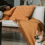 Autumn Interior Upgrades That Will Make You Feel Cosy