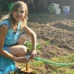 How to Build a Garden That Practically Runs Itself
