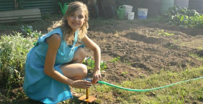 How to Build a Garden