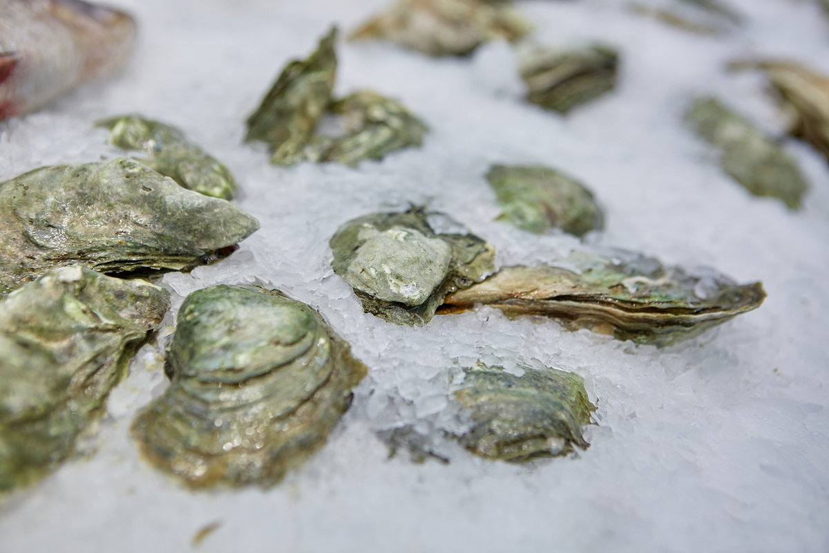 Huîtres fermées Comment les conserver au frigo ? Guide