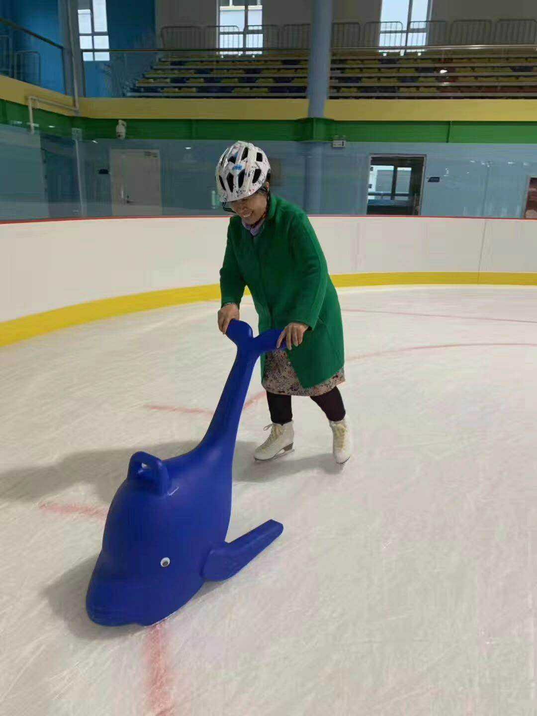 Ice rink accessories