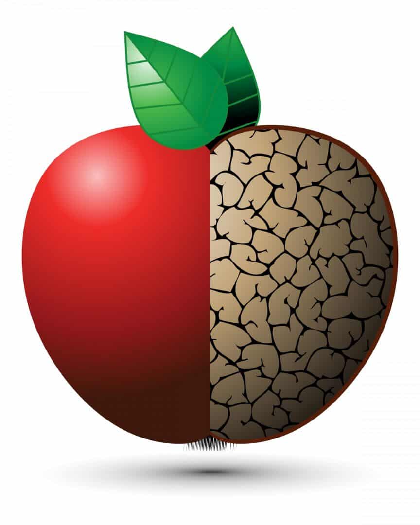 4 Steps to Ensure an Accurate Appraisal of Your Charlotte Real Estate