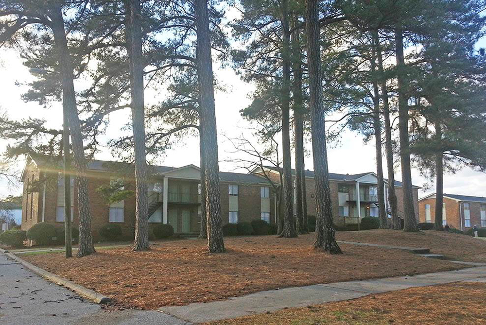 Tara Woods ICM Development