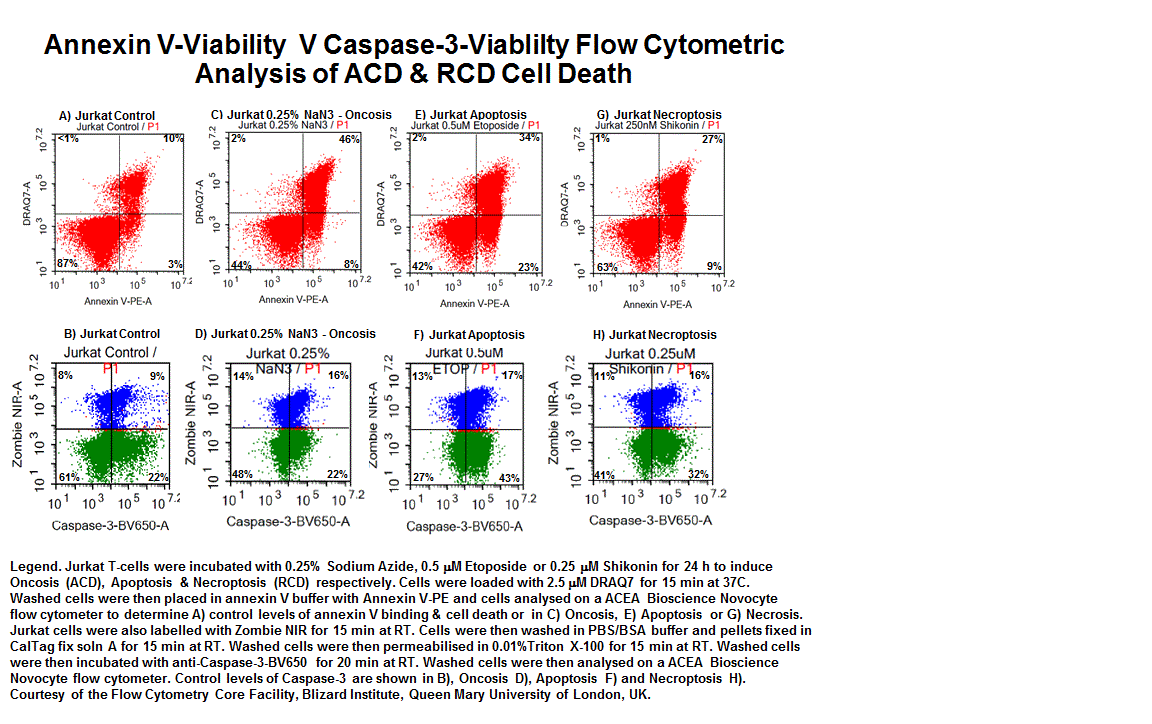 Caspase activity and Apoptosis Flow Cytometry Core Facility