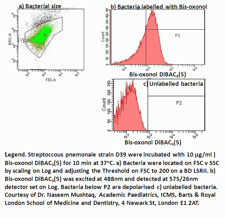 Bacteria Flow Cytometry Core Facility