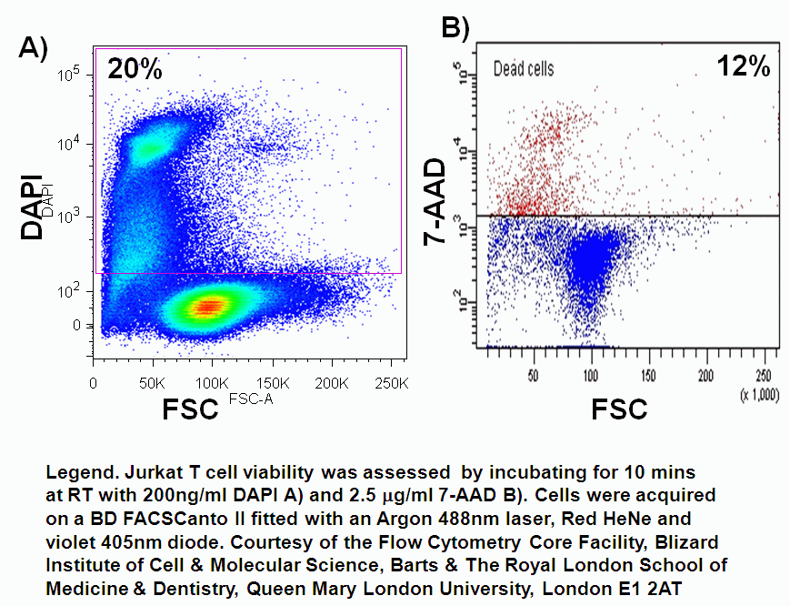 Viability, Flow Cytometry Core Facility
