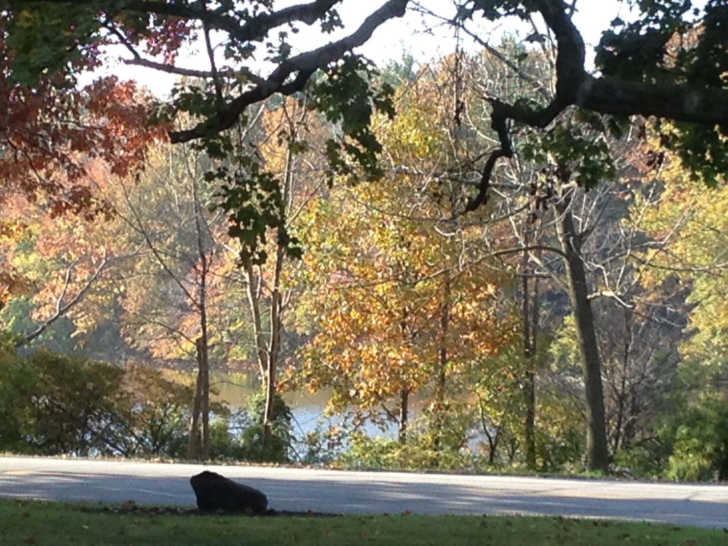 Lower Shaker Lake and Nature Center at Shaker Lakes Cleveland Institute for Computational Biology