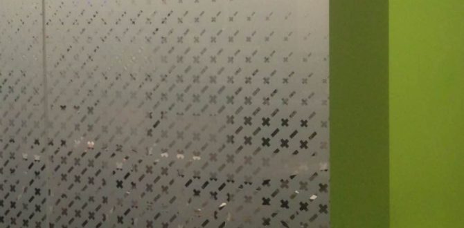 Etched Vinyl As Privacy Film For Glass Walls Roseville Ca