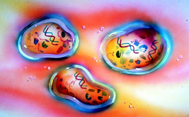 The Myth Of Chemical Evolution | The Institute For Creation Research