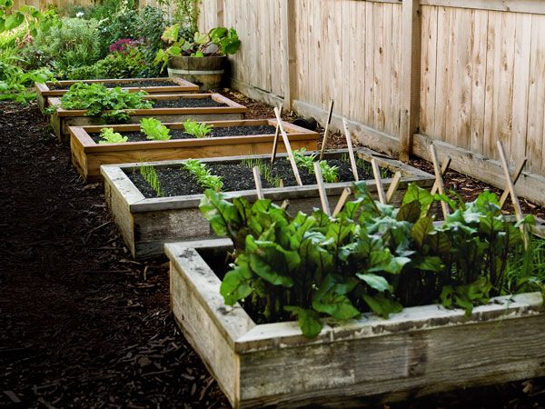 30+ Creative DIY Raised Garden Bed Ideas And Projects