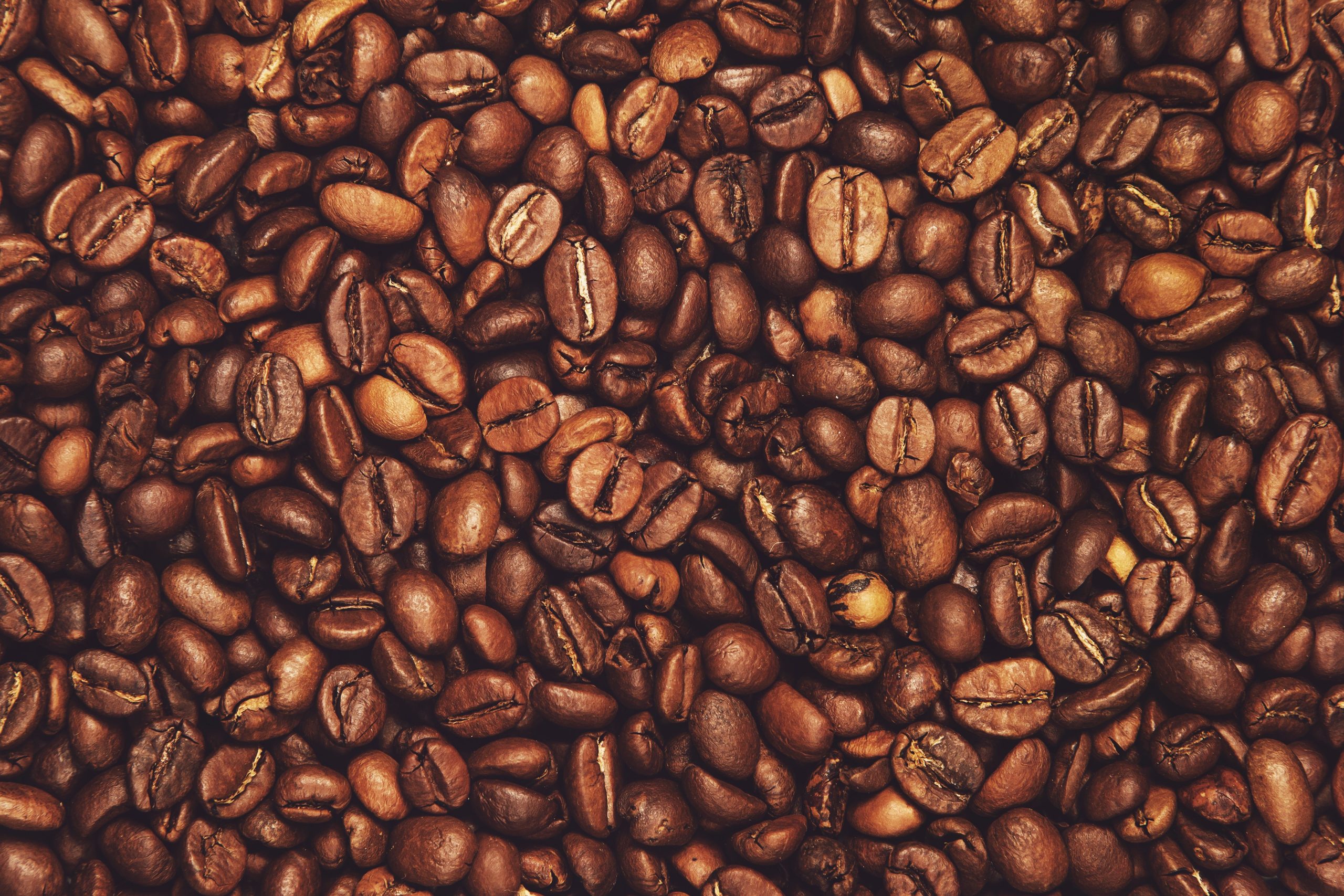 Coffee bean selection guide how to choose the right wholesale coffee