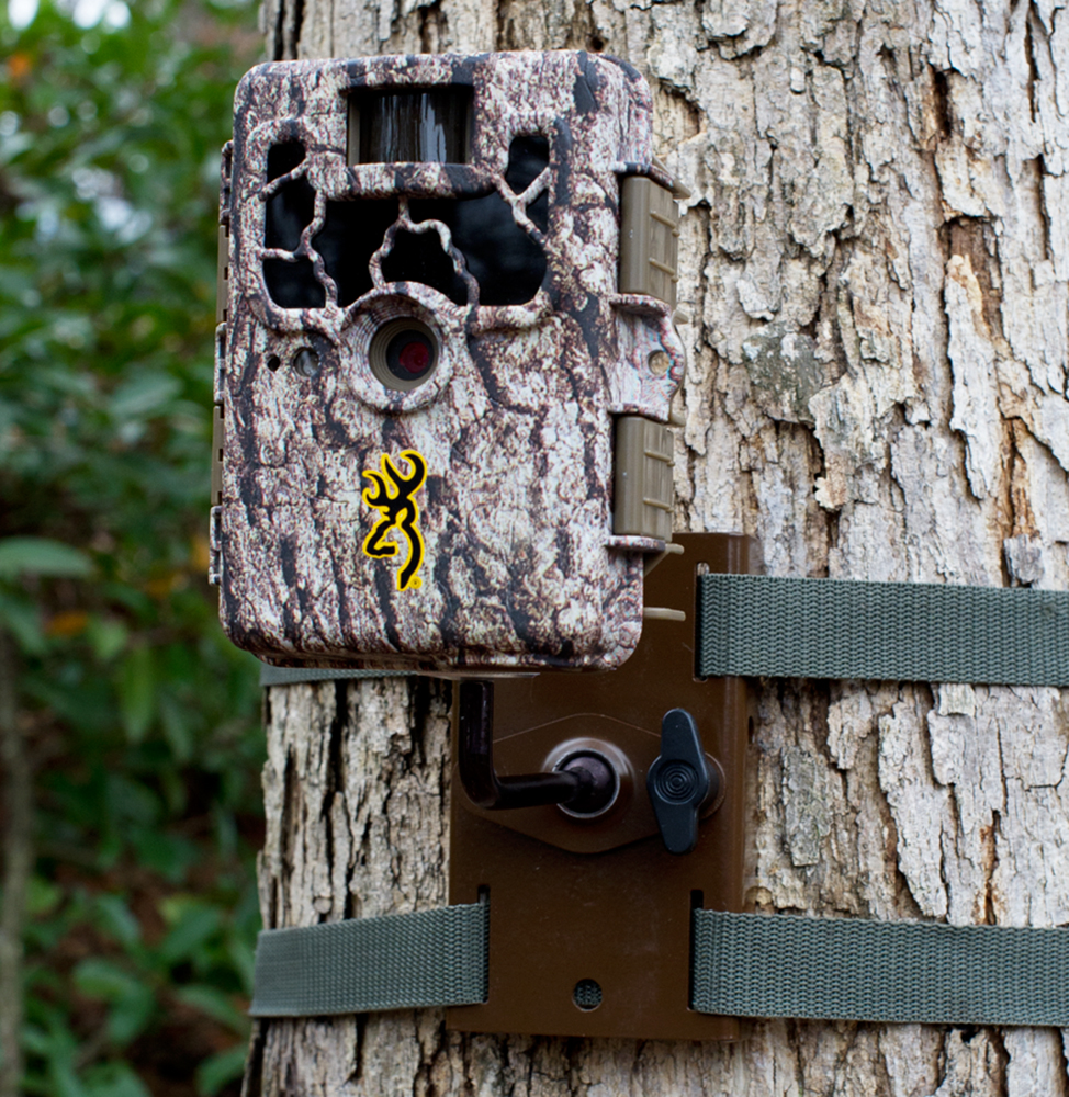 Mounting Ring Camera On Tree at Maryann Pearson blog