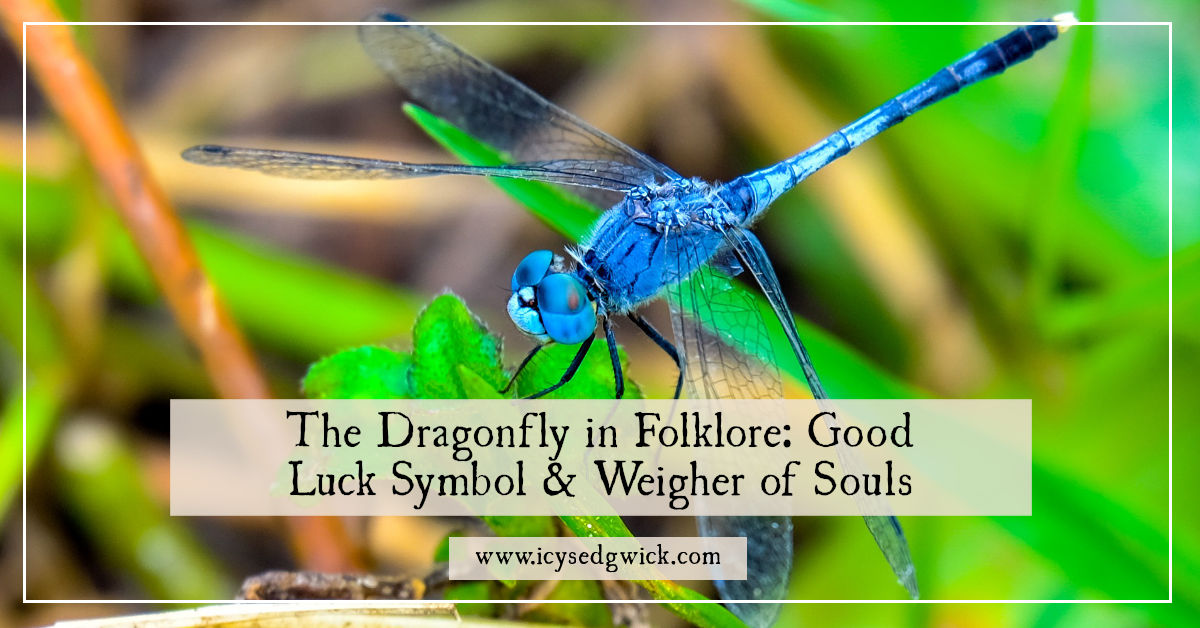 The Dragonfly in Folklore Good Luck Symbol & Weigher of Souls