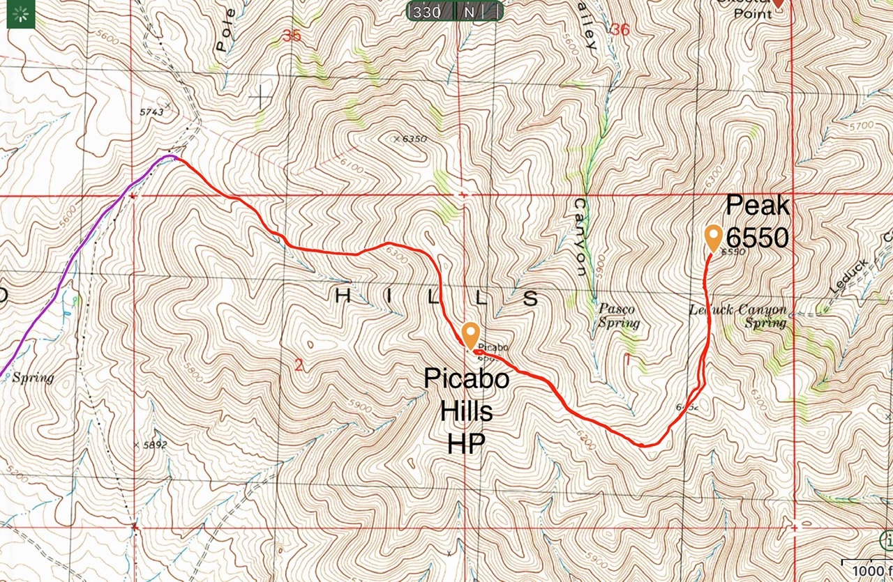 Picabo Hills High Point by Livingston Douglas IDAHO A Climbing Guide