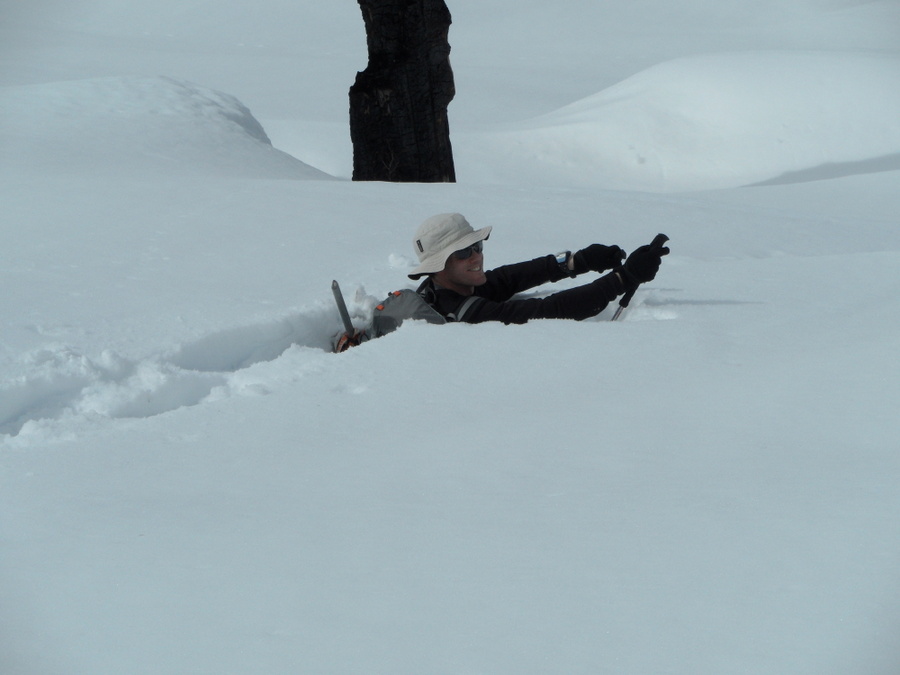 Tree Wells IDAHO A Climbing Guide
