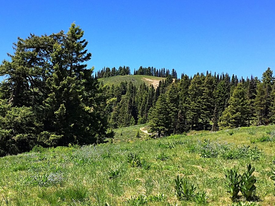 Jackson Peak IDAHO A Climbing Guide