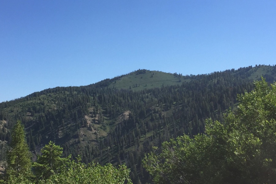 Jackson Peak 8124 IDAHO A Climbing Guide