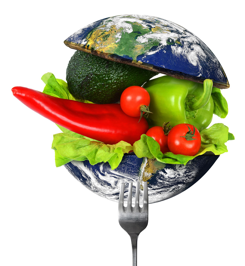Vegetarian Diets Are Good for Health, Too IDEA Health