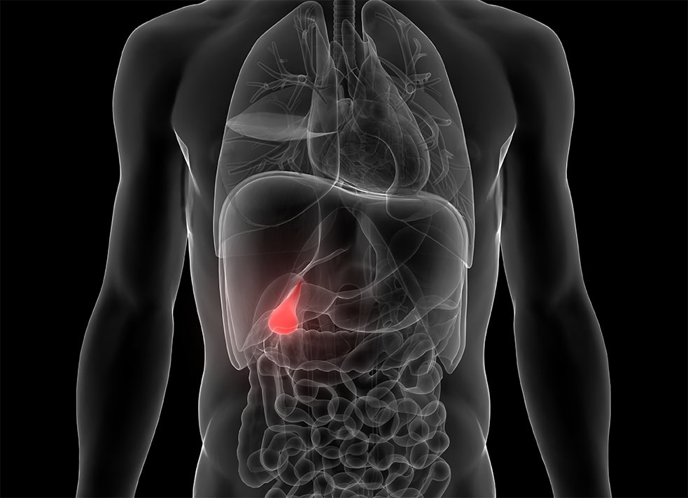 Get to Know the Gallbladder IDEA Health & Fitness Association