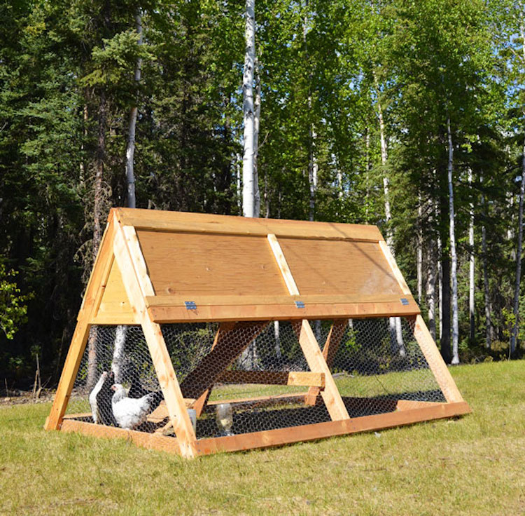 Chicken Coop Plans 24 Simple Designs You Can Build Yourself
