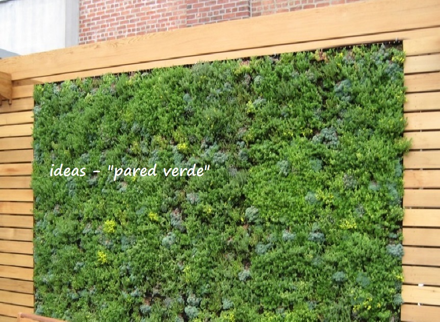 Proyectos IDEA JARDINES, MANTENIMIENTO Y CONTROL DE PLAGAS