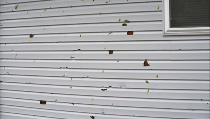 How Much Does It Cost to Repair Siding? Angi