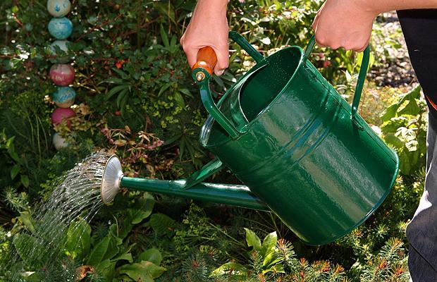 Ways of Saving Water when Watering your Garden Ideas 4 Homes