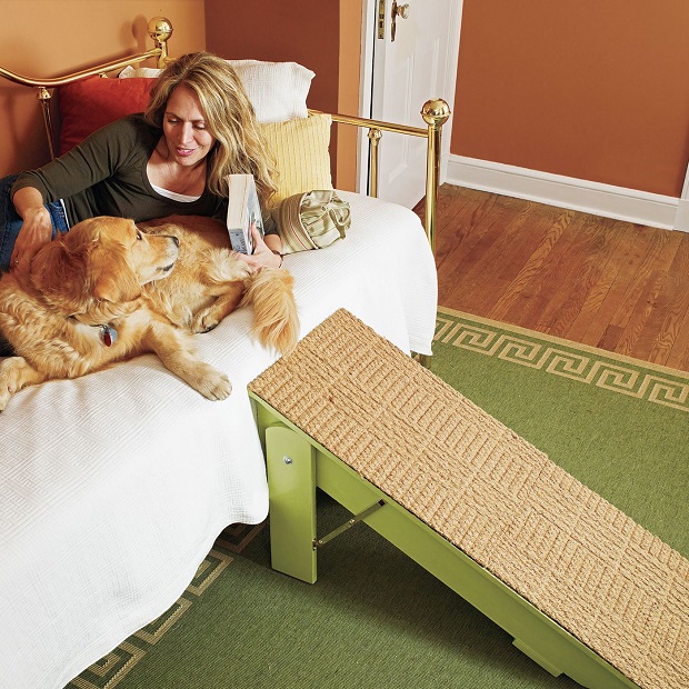 Pet Talk Ideas for Improving the Life of a Dog with Arthritis Ideas For Blog