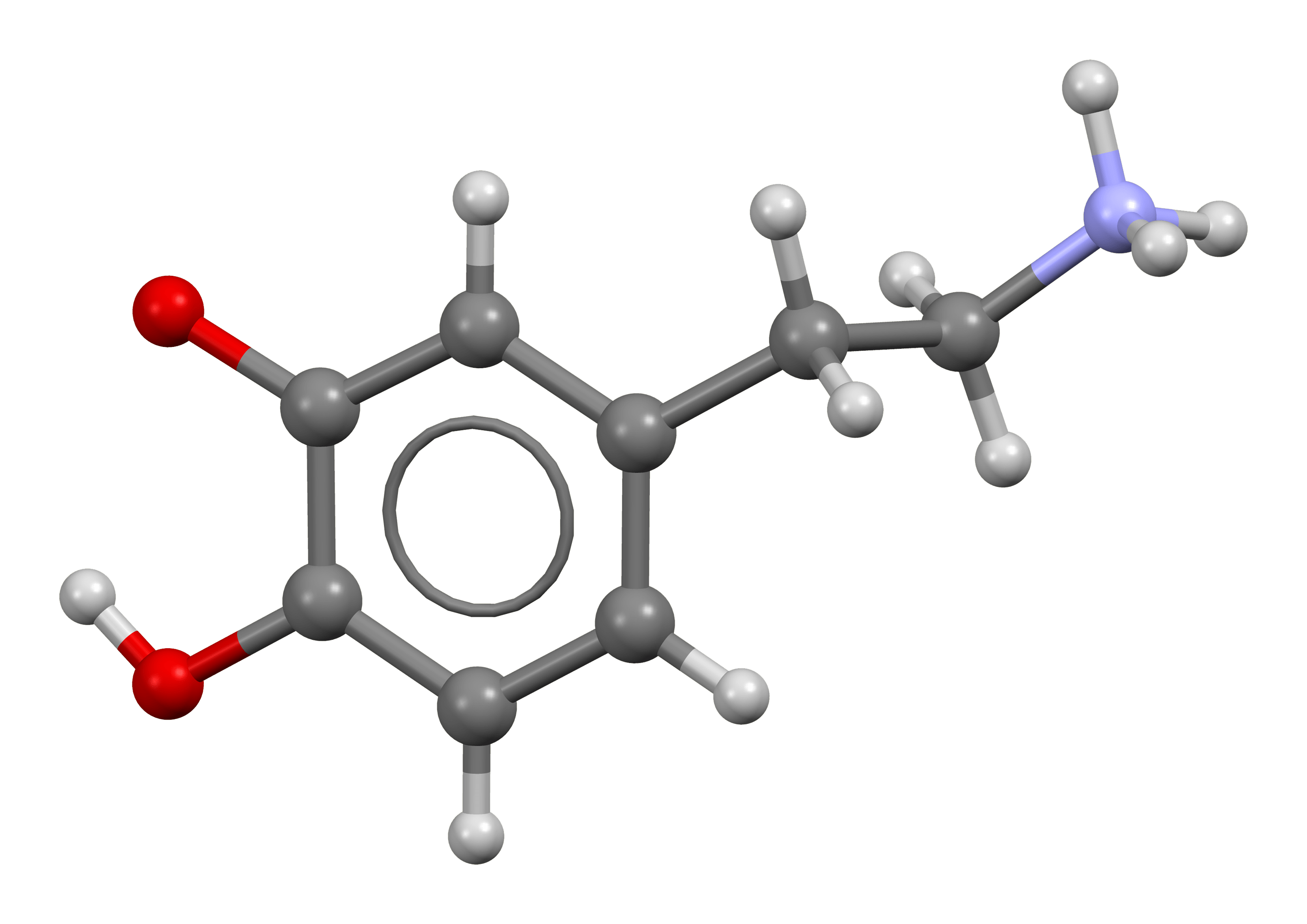 The surprising link between curiosity and Dopamine - Idea to Value