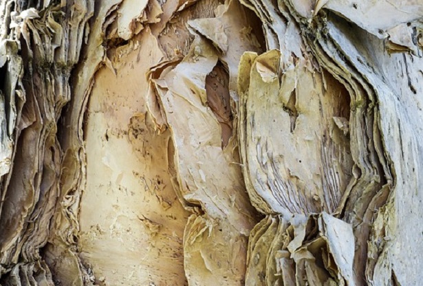 Lyocell il tessuto ecologico Idee Green