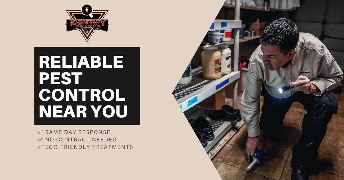 Quick, Dependable Pest Control Services in MA & NH