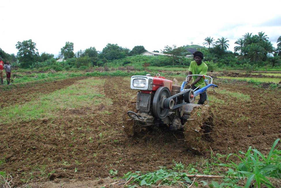 Why we are reviving lowland rice production in Liberia Silas Siakor