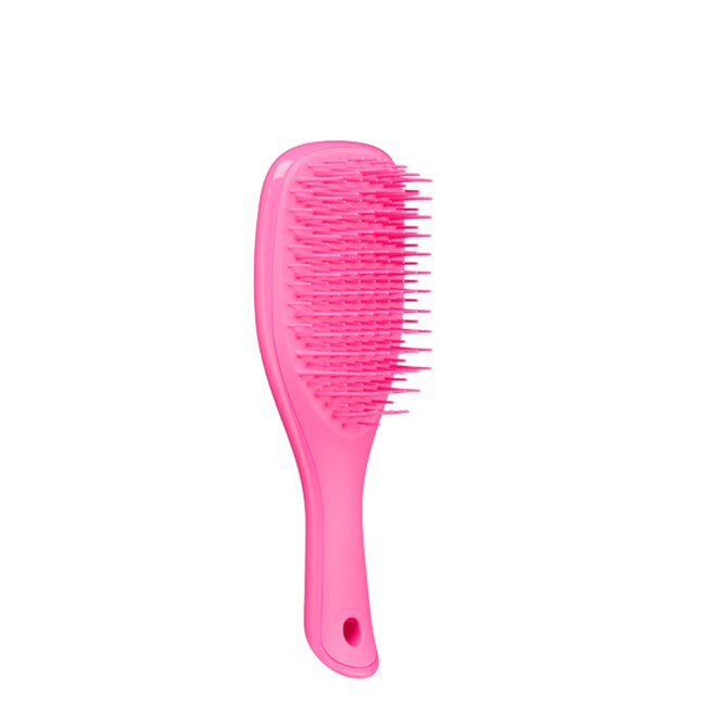 Buy Tangle Teezer Mini Wet Detangler Pink Hairbrush x1 IDIVIA Beauty Shop