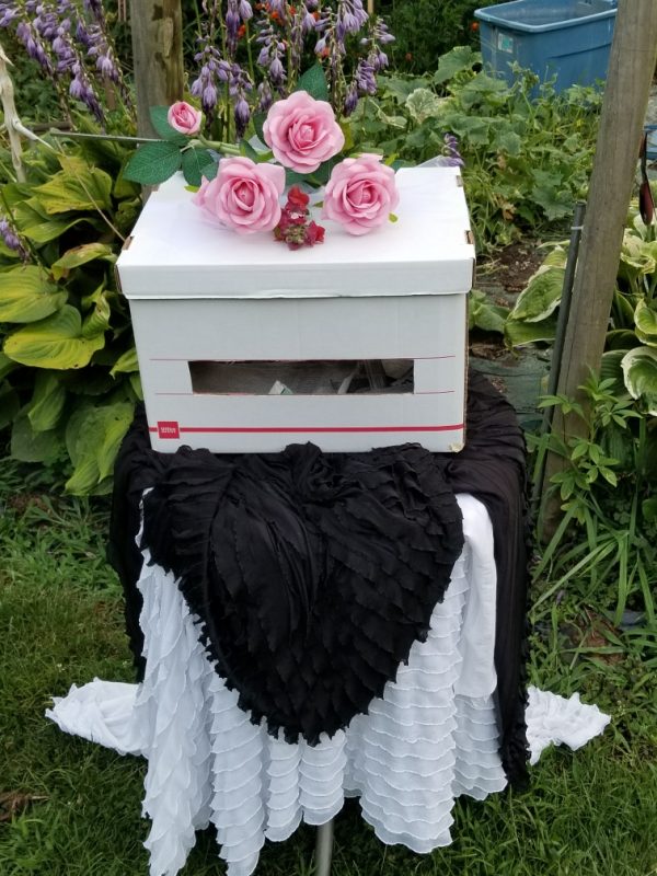 New York Dove Release Service Starting at 75