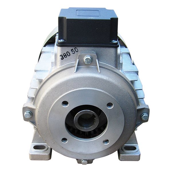 Electric motors hollow shaft ø24mm 1450Rpm