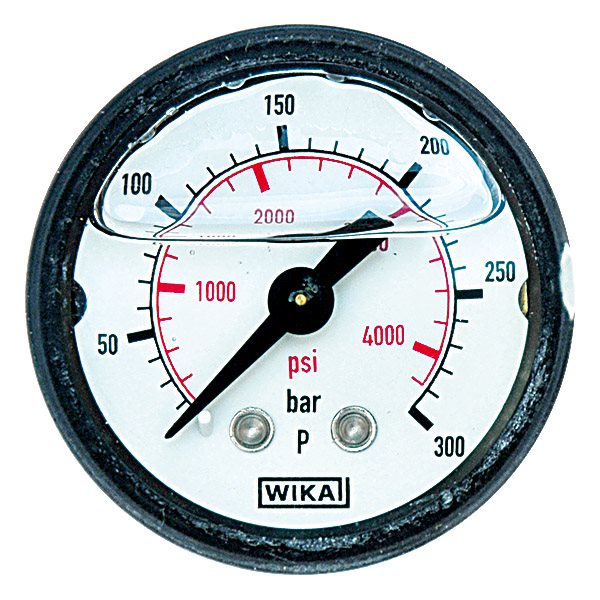 Pressure gauges with ABS case