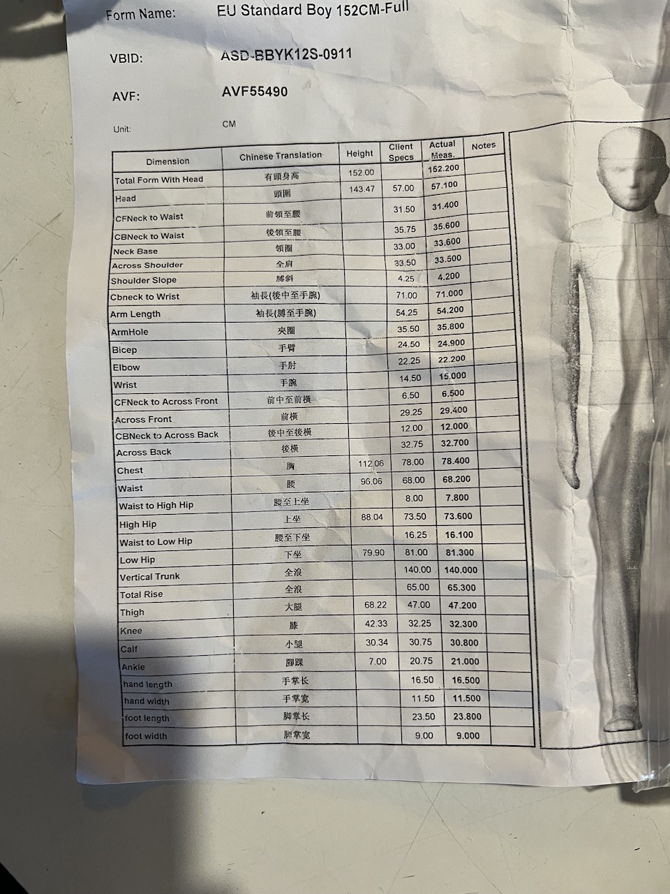 Alva Form Alvanon Boy 152CM EU Standard Full body dress form