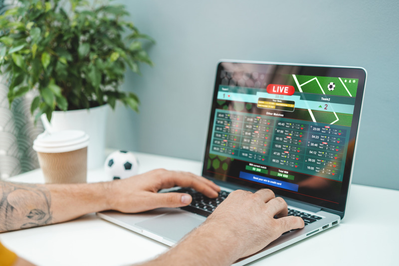 Best PPH Bookie Software A MustHave for Every Budding Bookie