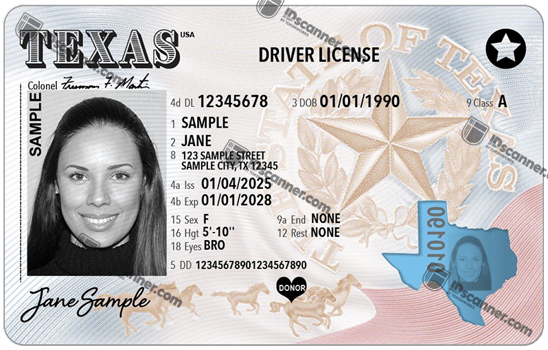 Texas Driver’s License 2025 New Design & Security Upgrades