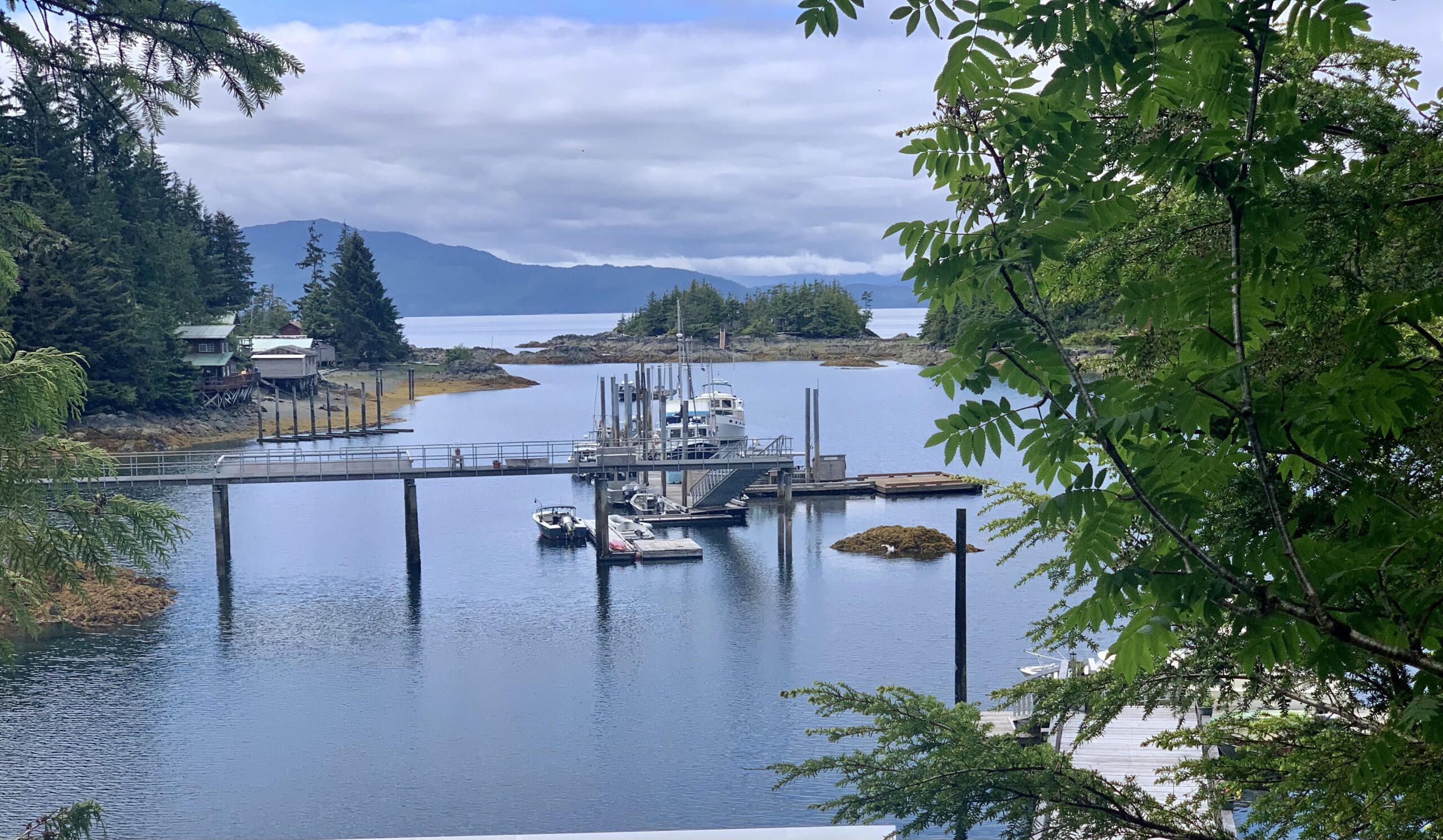 We take a spot at the head of the harbor on the town dock.