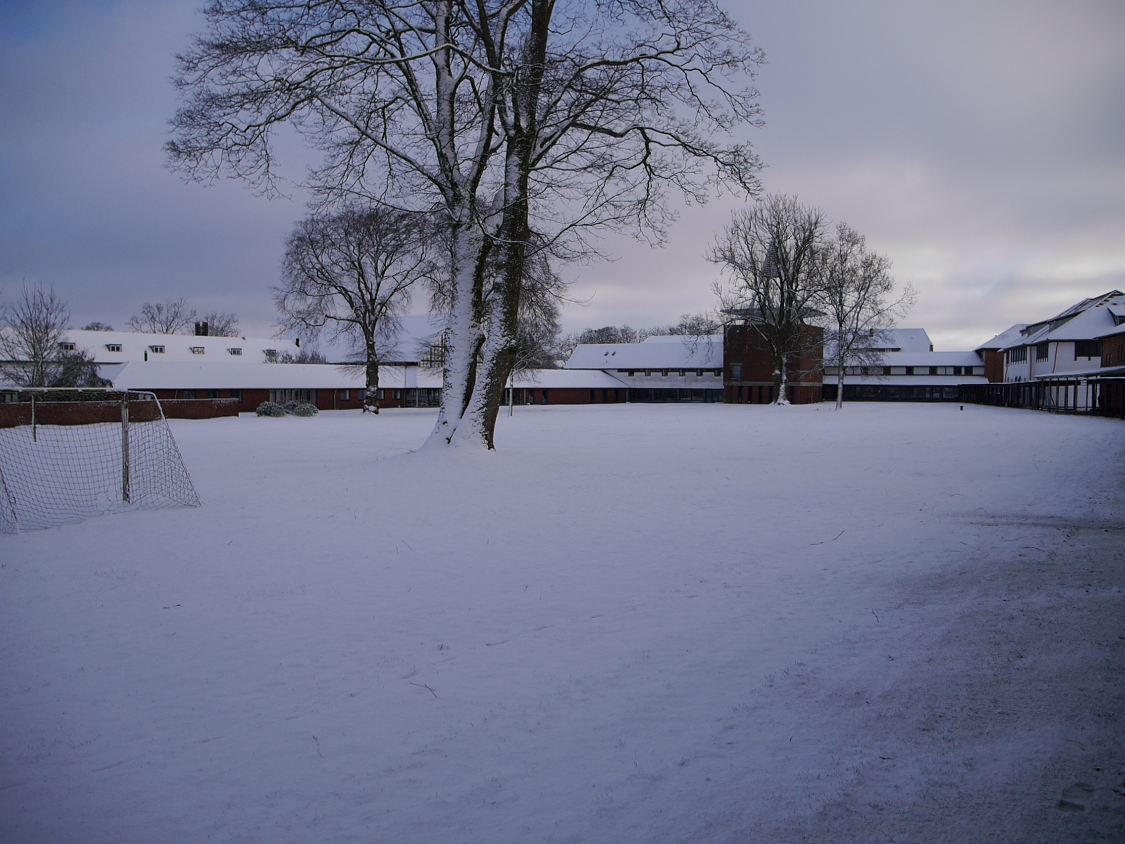 Askov Højskole IFAS (アイファス）・フォルケホイスコーレ検索