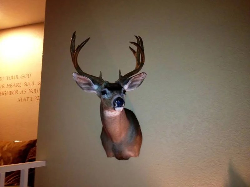 2012 Cascade Blacktail Mount