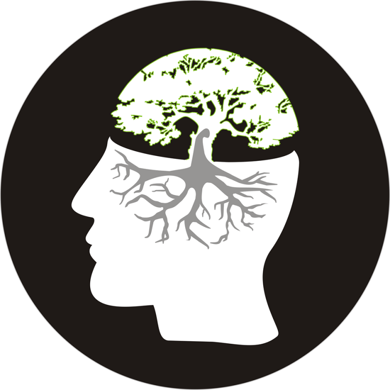 Traductores Nativos de Native Creators LTD Reviews