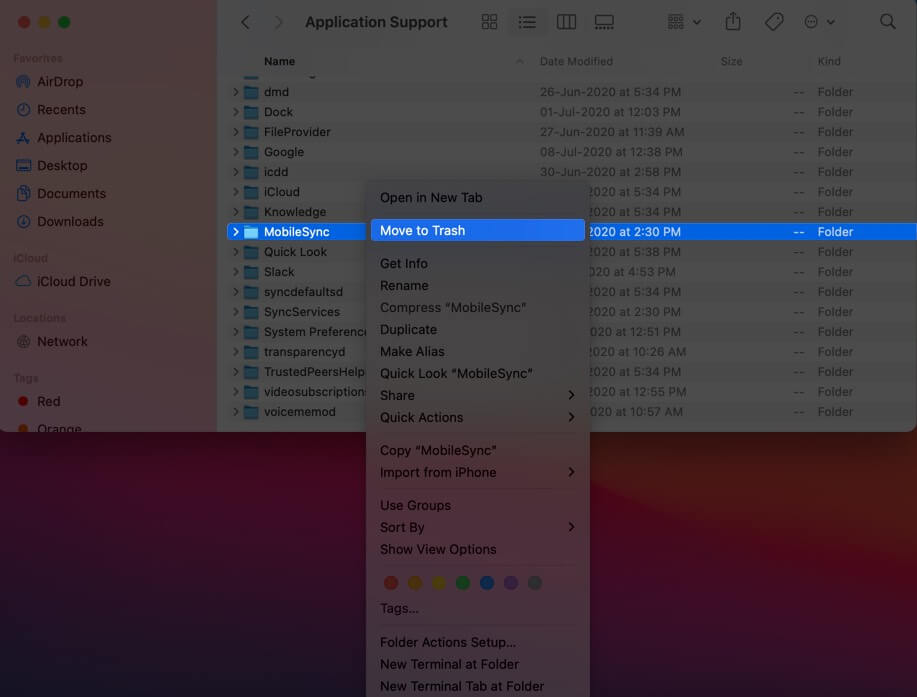 What is Other on Mac Storage and How to Delete It? iGeeksBlog