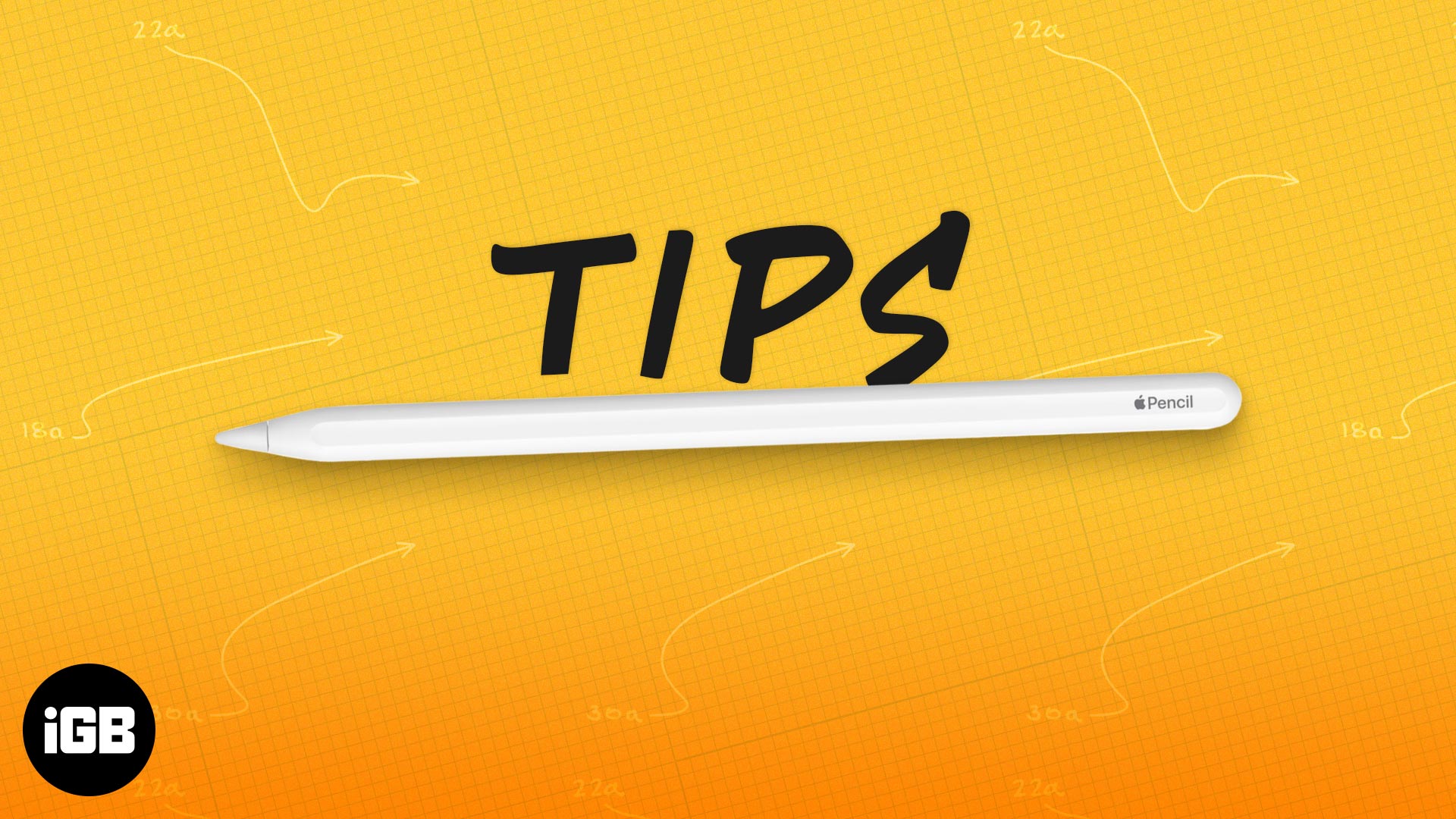 Apple Pencil tips and tricks you must try in 2024 iGeeksBlog